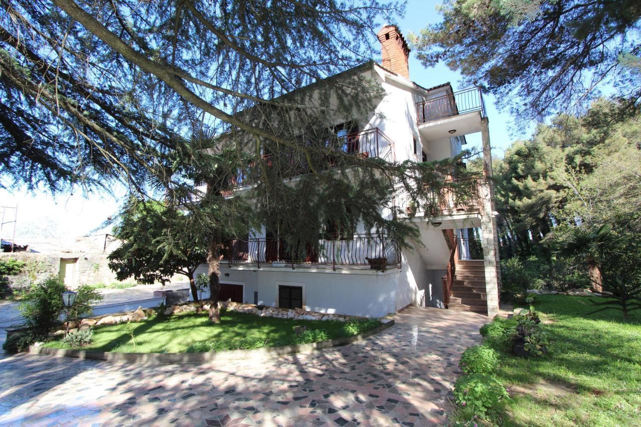 Apartment Clementina Višnjan 外观 照片